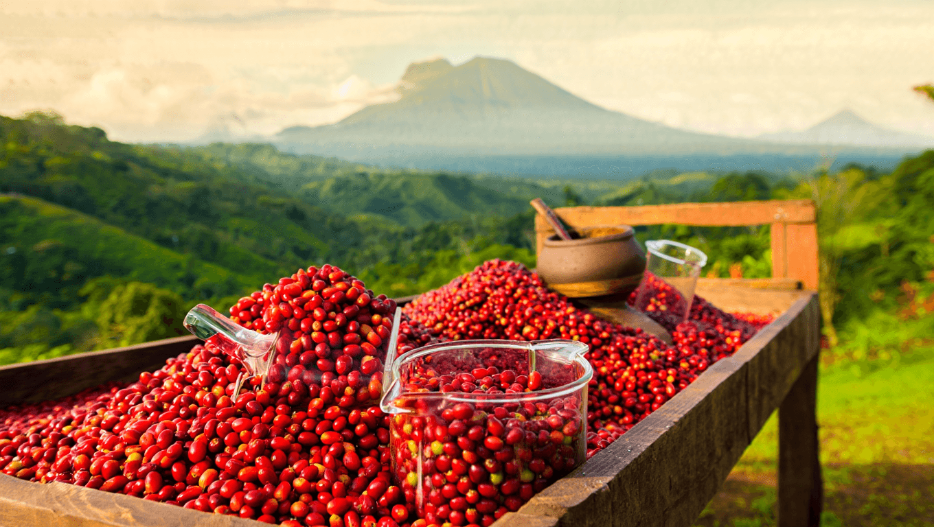 The Rise of "Experimental Processing" in Costa Rican Coffee