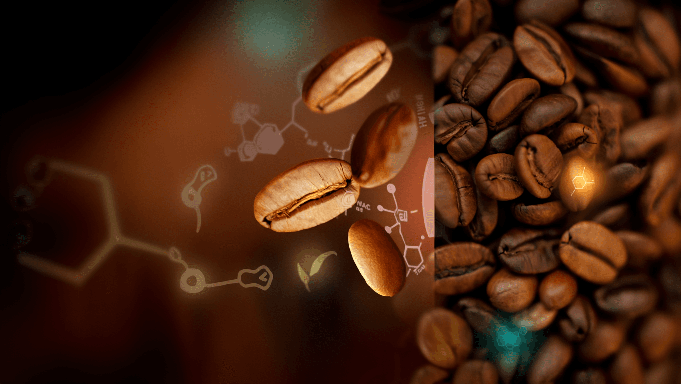 The Difference Between Arabica and Robusta: A Chemical Deep Dive
