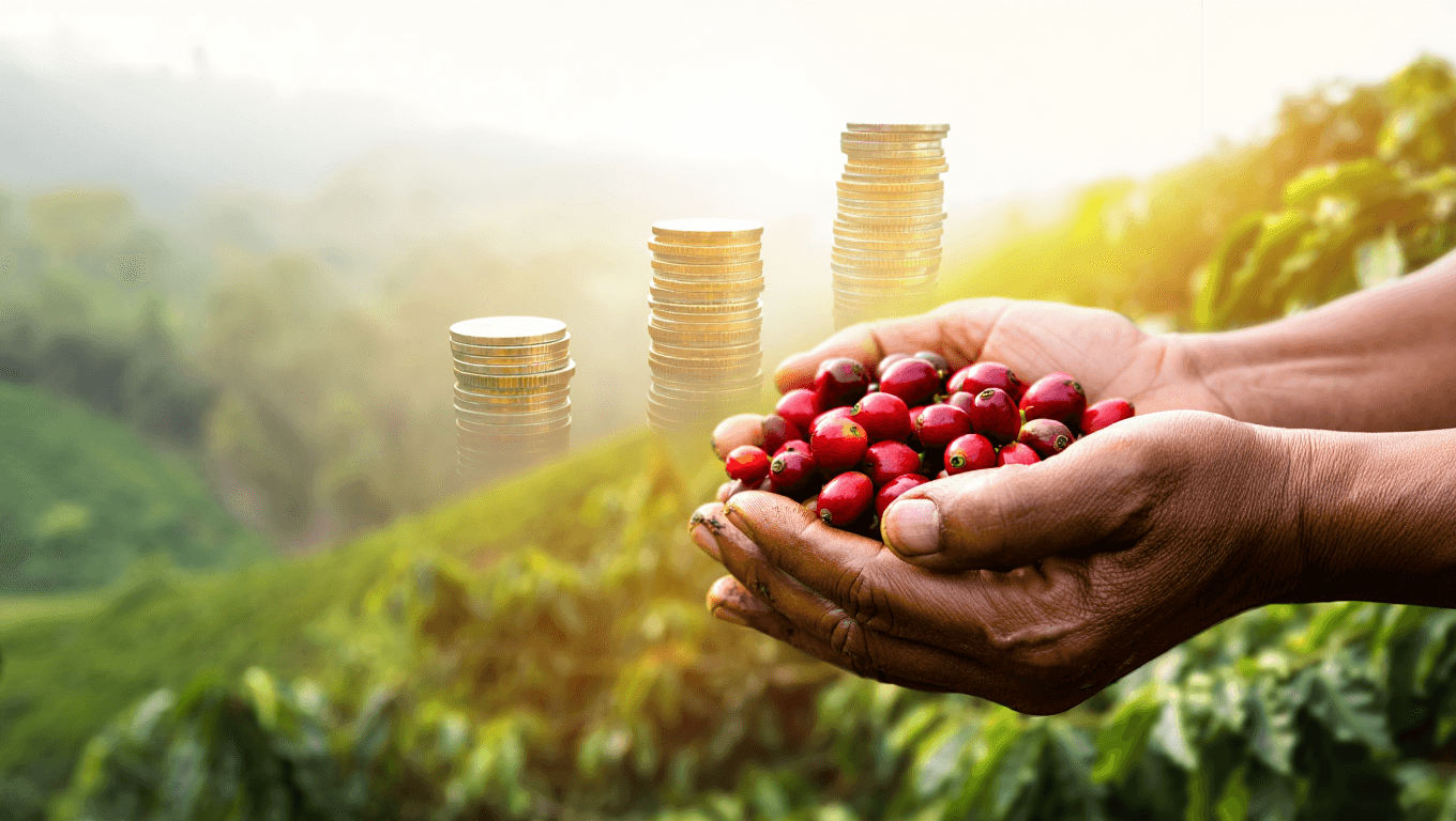 The Impact of Rising Coffee Prices on Farmer Sustainability
